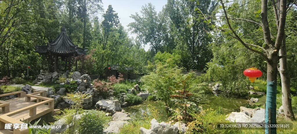 中式園林景觀一角