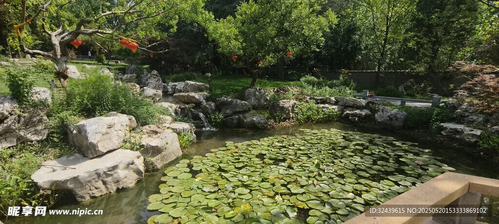 中式園林池塘景觀