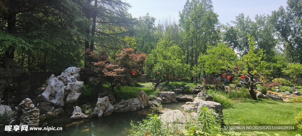 中式園林景觀綠意盎然