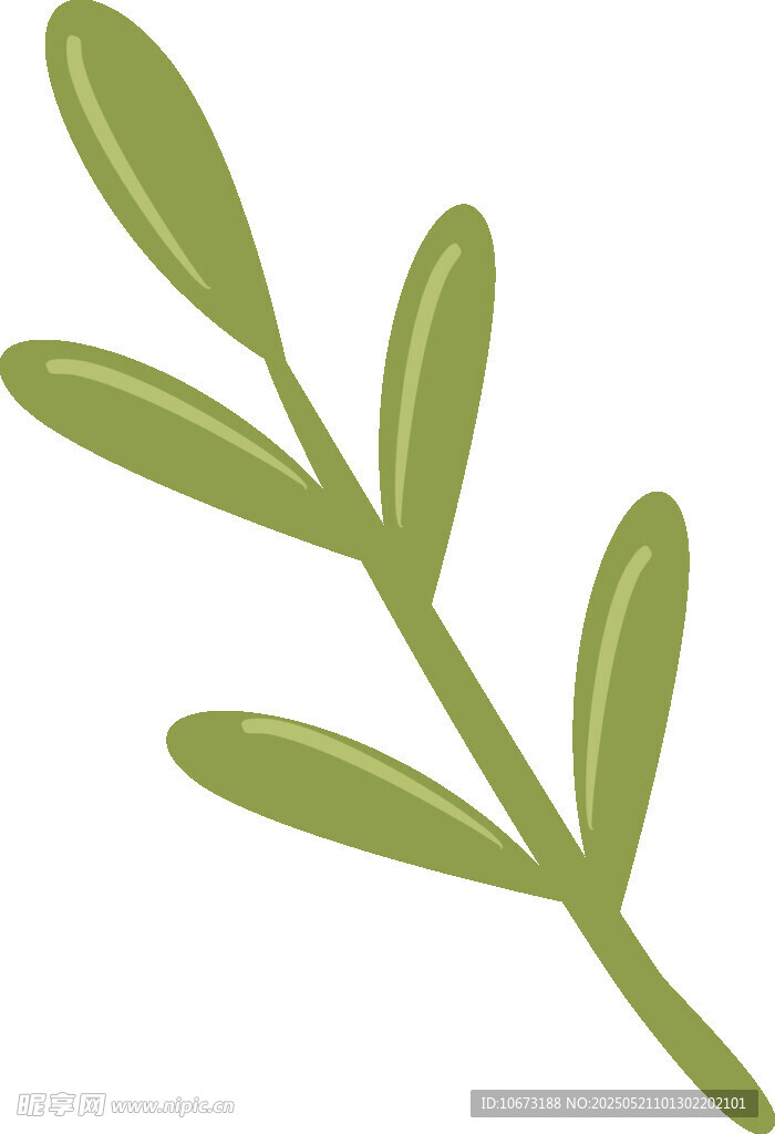 綠色植物枝葉插畫
