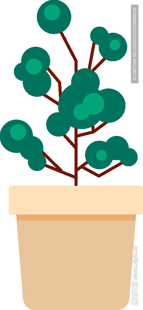 盆栽綠植