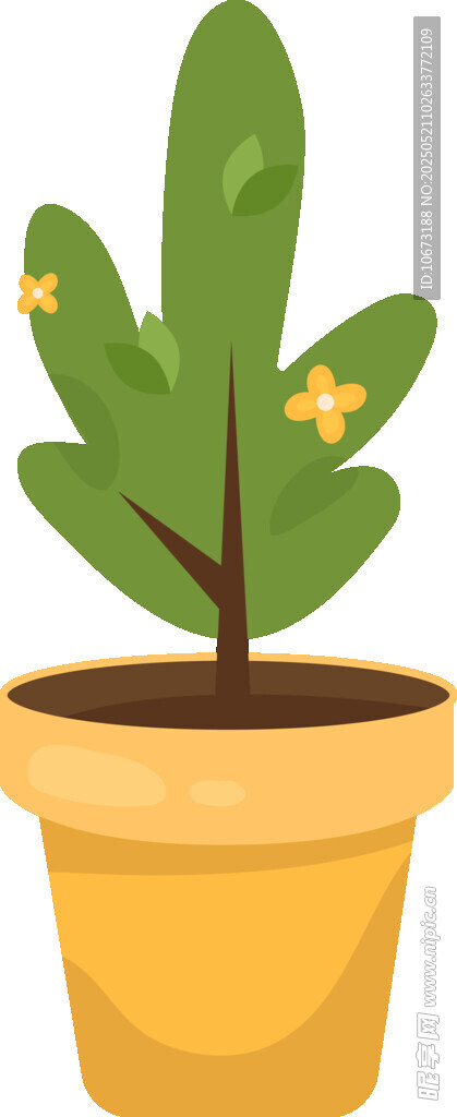 盆栽綠植 清新小植物