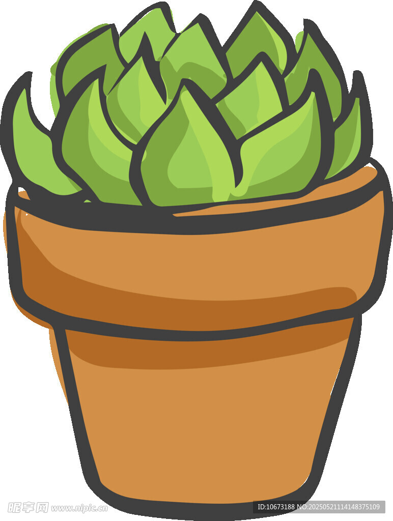 盆栽多肉植物插畫