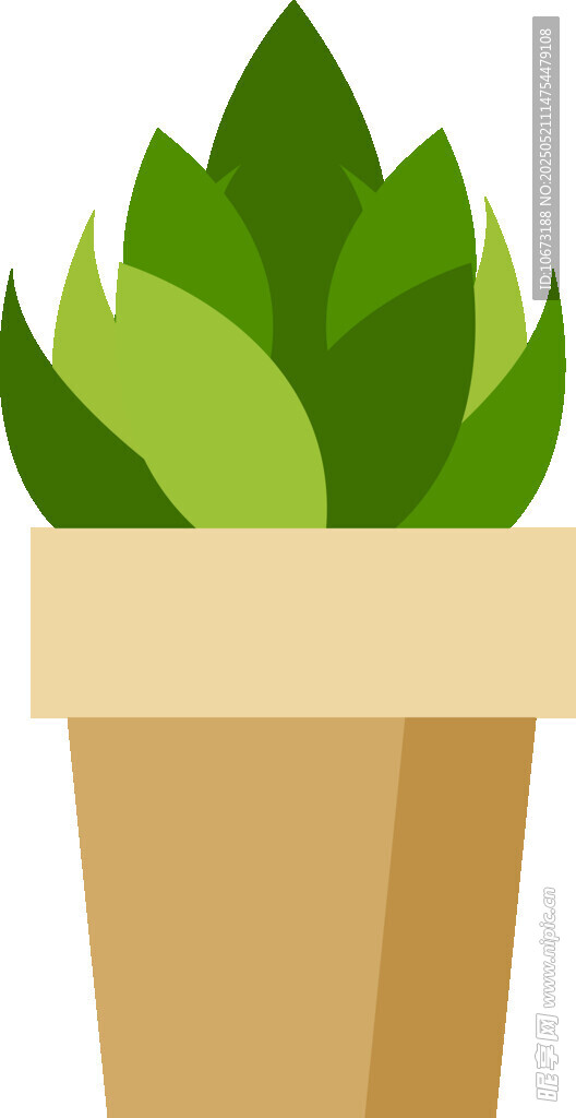 盆栽綠植 清新可愛小植物