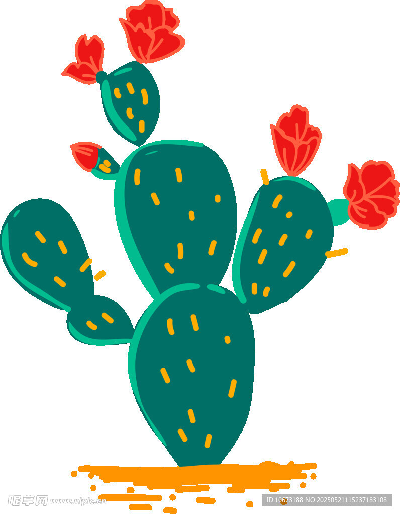 開花的仙人掌插畫