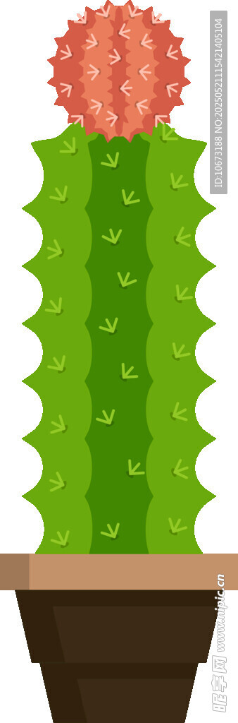 盆栽仙人掌 可愛綠植形象