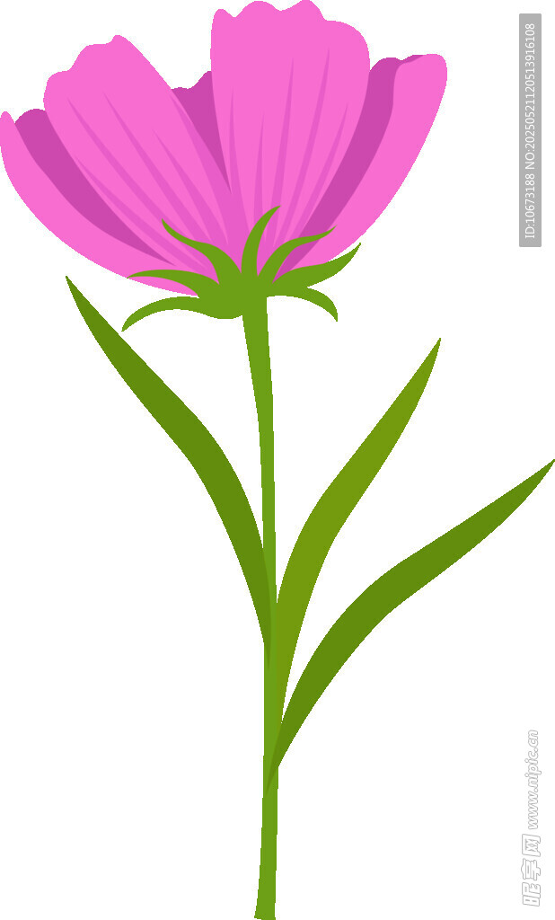 粉色花朵插畫
