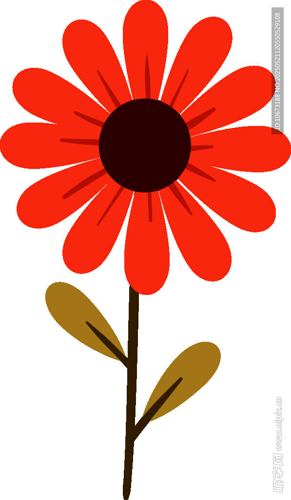 紅色花朵插畫