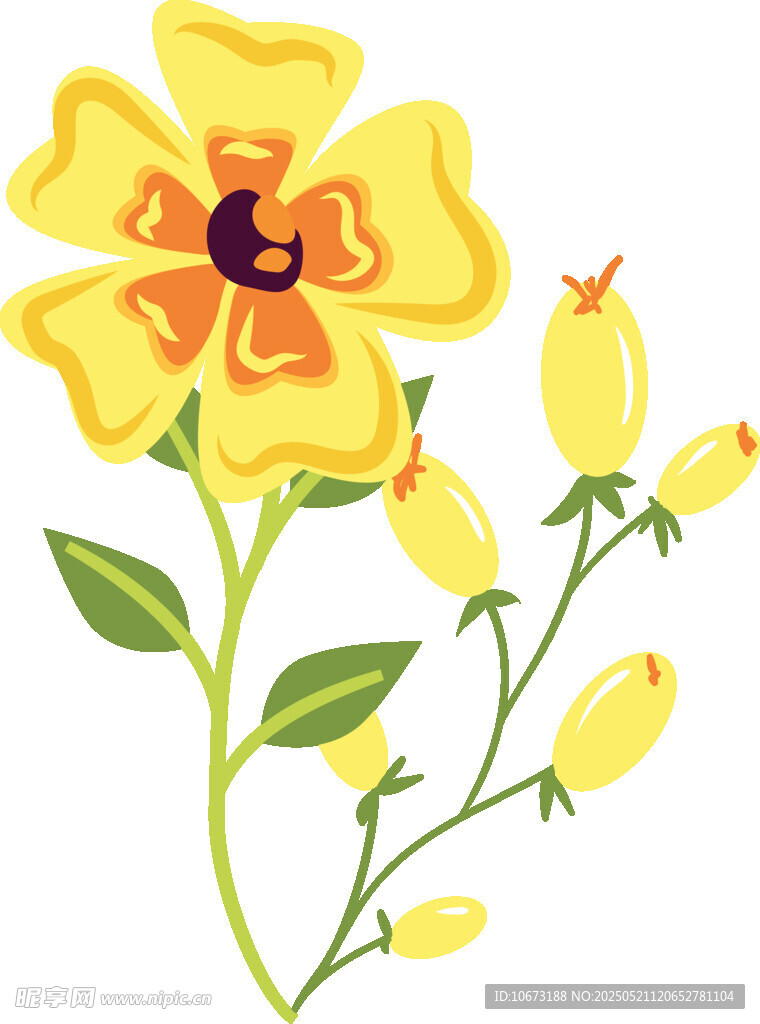 黃色花卉插畫