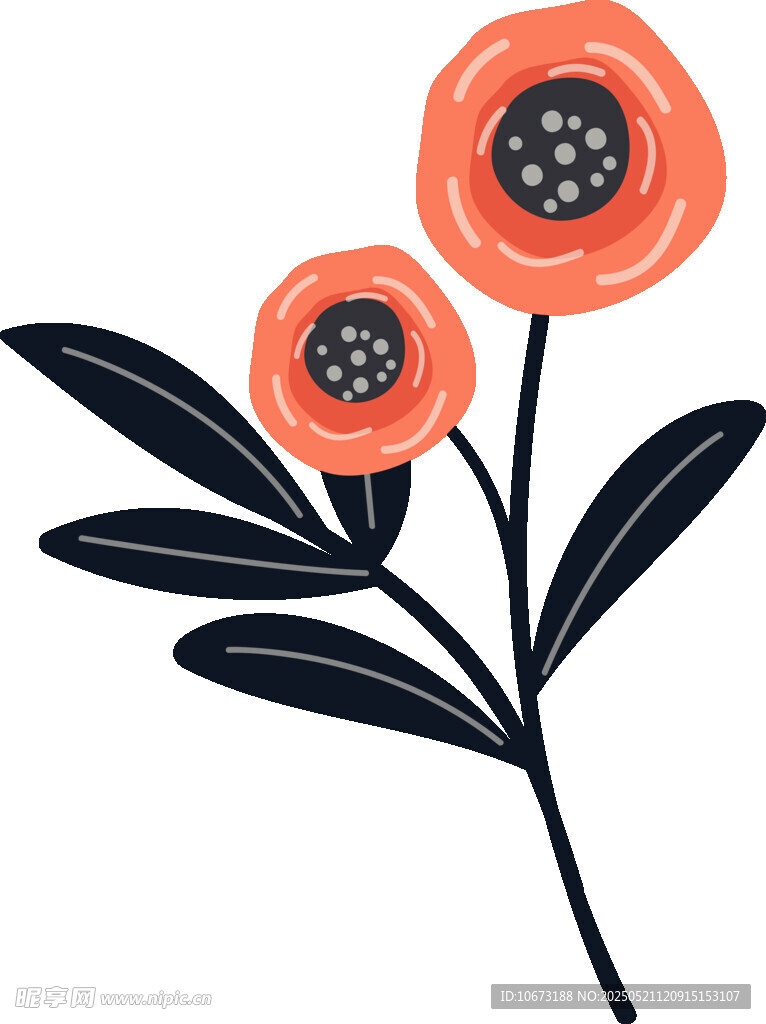 兩朵橙色花朵插畫