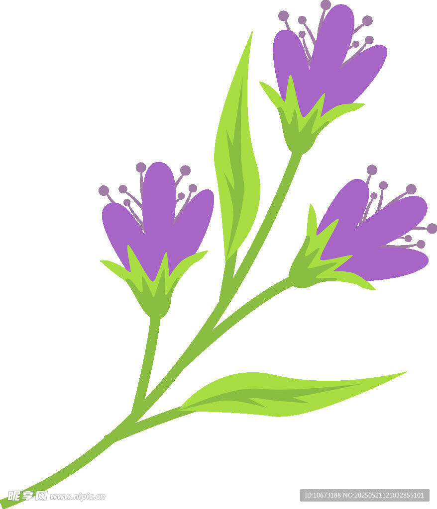 紫色花朵插畫