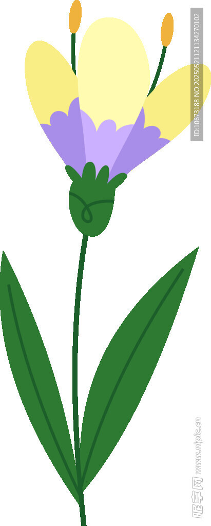紫色黃色花朵插畫(huà)