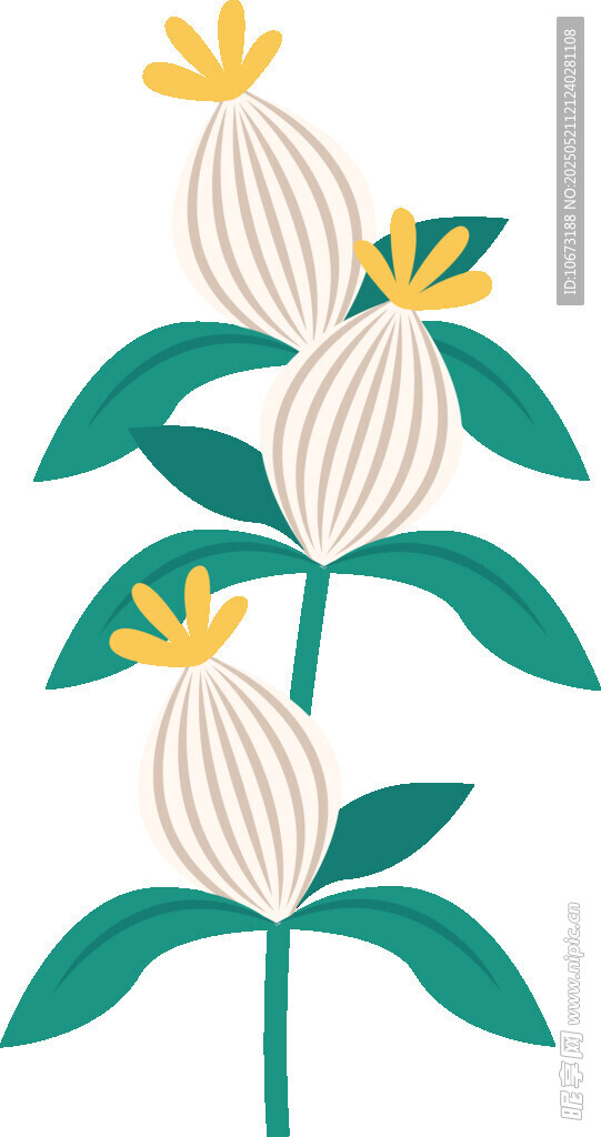 白色花朵綠葉植物插畫