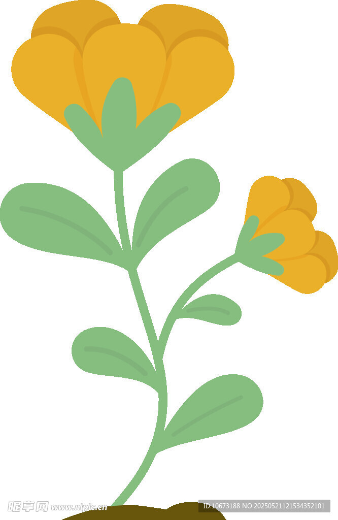 黃色小花插畫