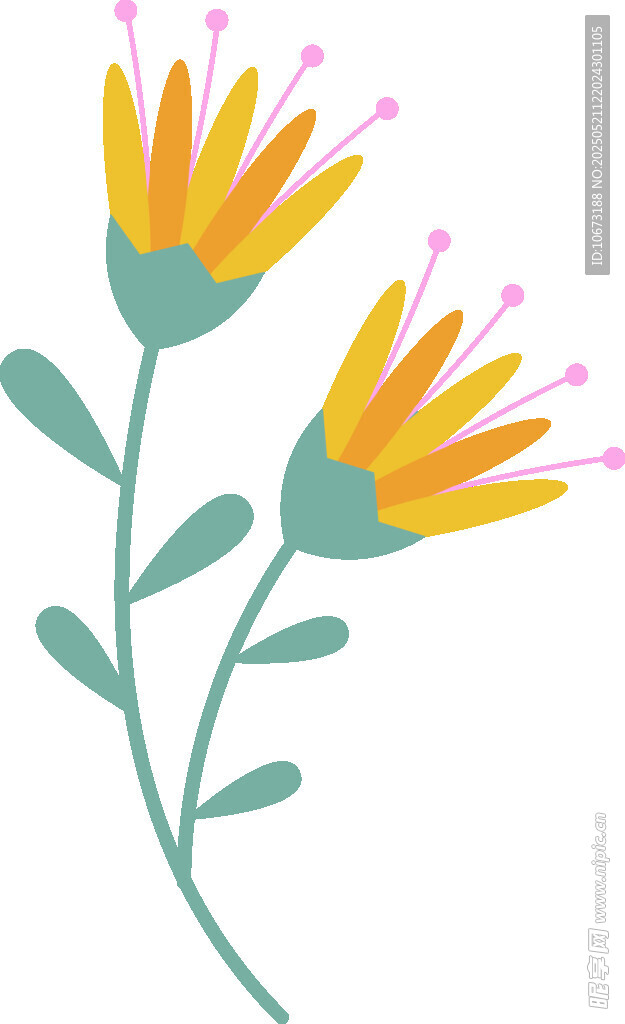 兩朵簡約風(fēng)格的鮮艷花朵