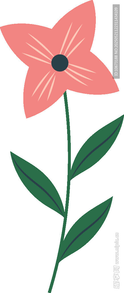 粉色花朵插畫