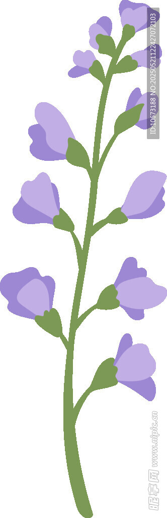 紫色小花枝特寫