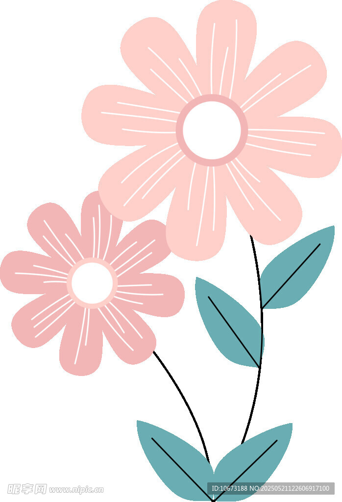 兩朵粉色花朵插畫