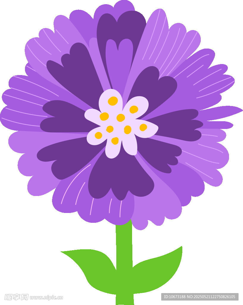 紫色花朵插畫
