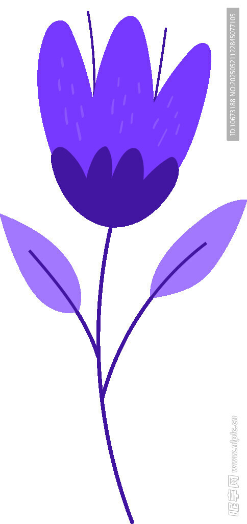 紫色花朵插畫
