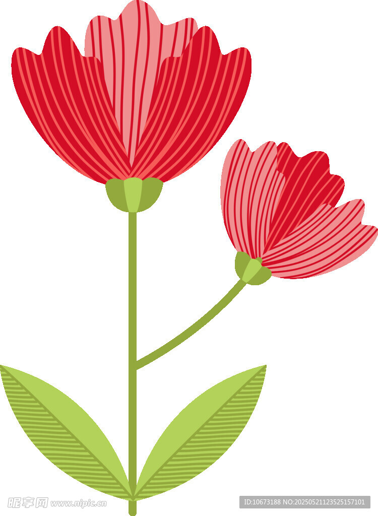 兩朵紅色花朵插畫