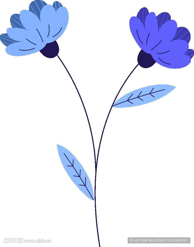 藍色花朵插畫