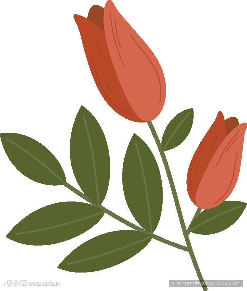 兩朵紅色郁金香插畫(huà)