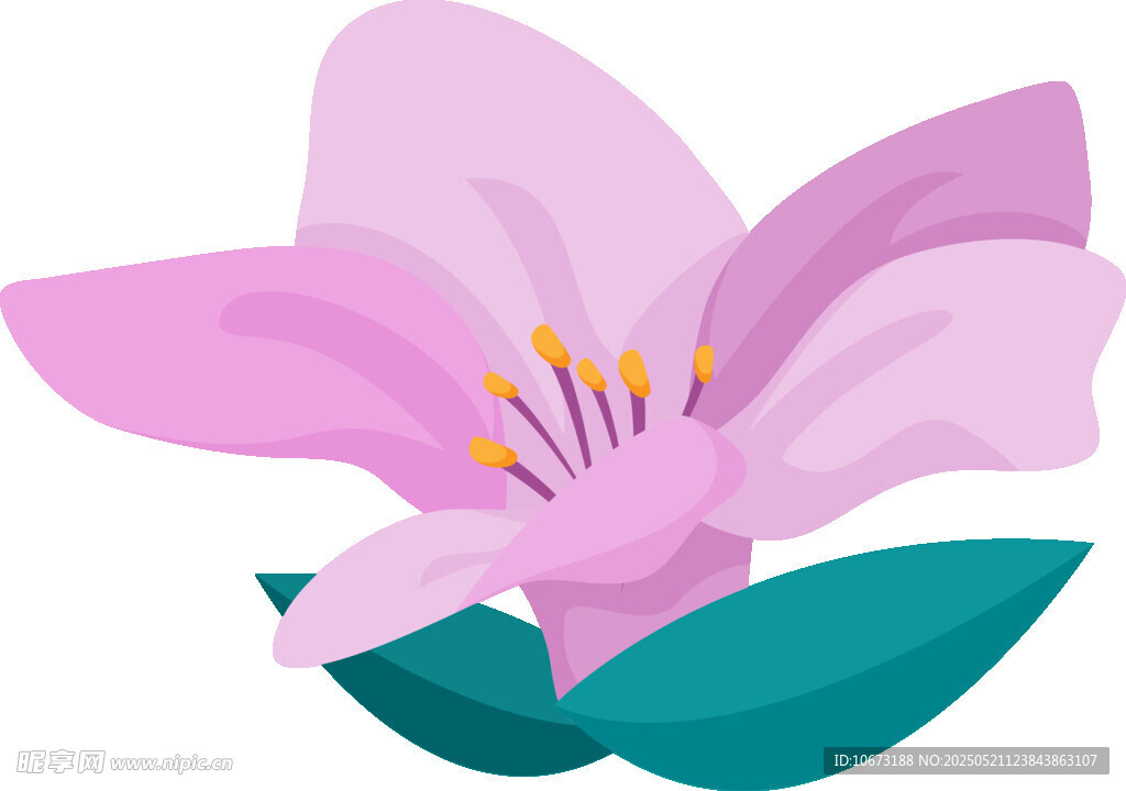 粉色花朵插畫