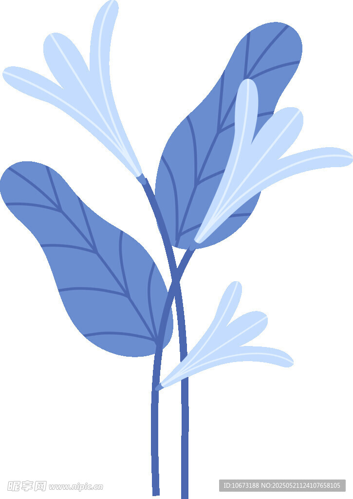 藍色葉片植物插畫