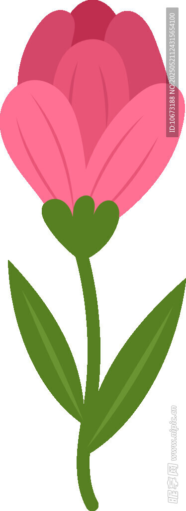 粉色花朵插畫