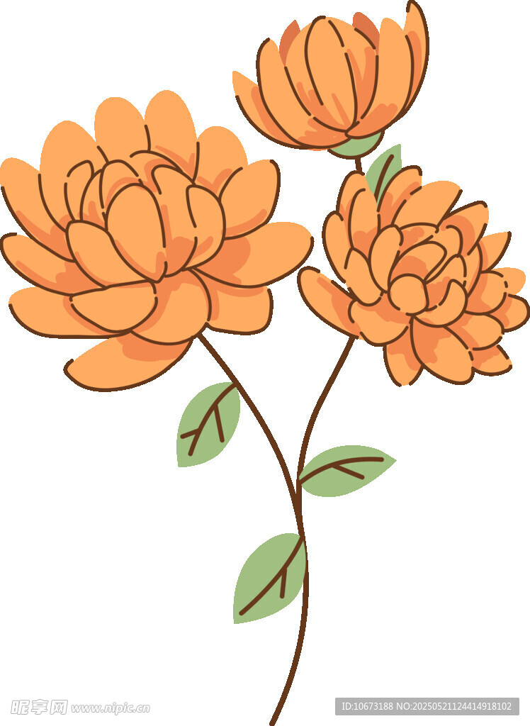 三朵橙色花卉插畫