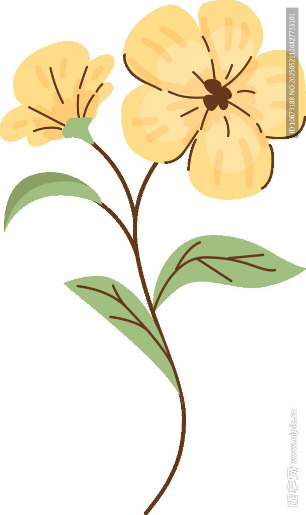 兩朵黃色花朵插畫