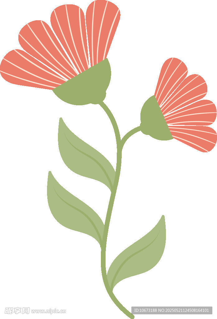 兩朵簡約風格的花卉圖案