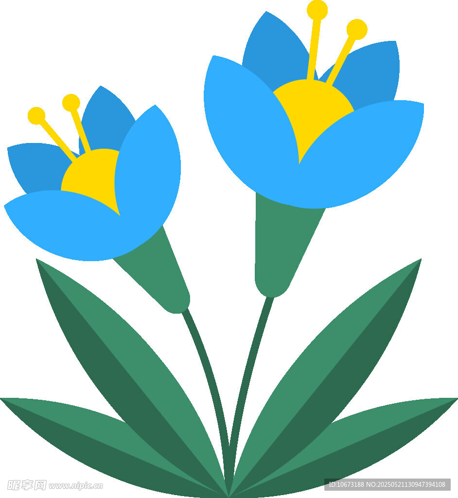 藍色花朵插畫
