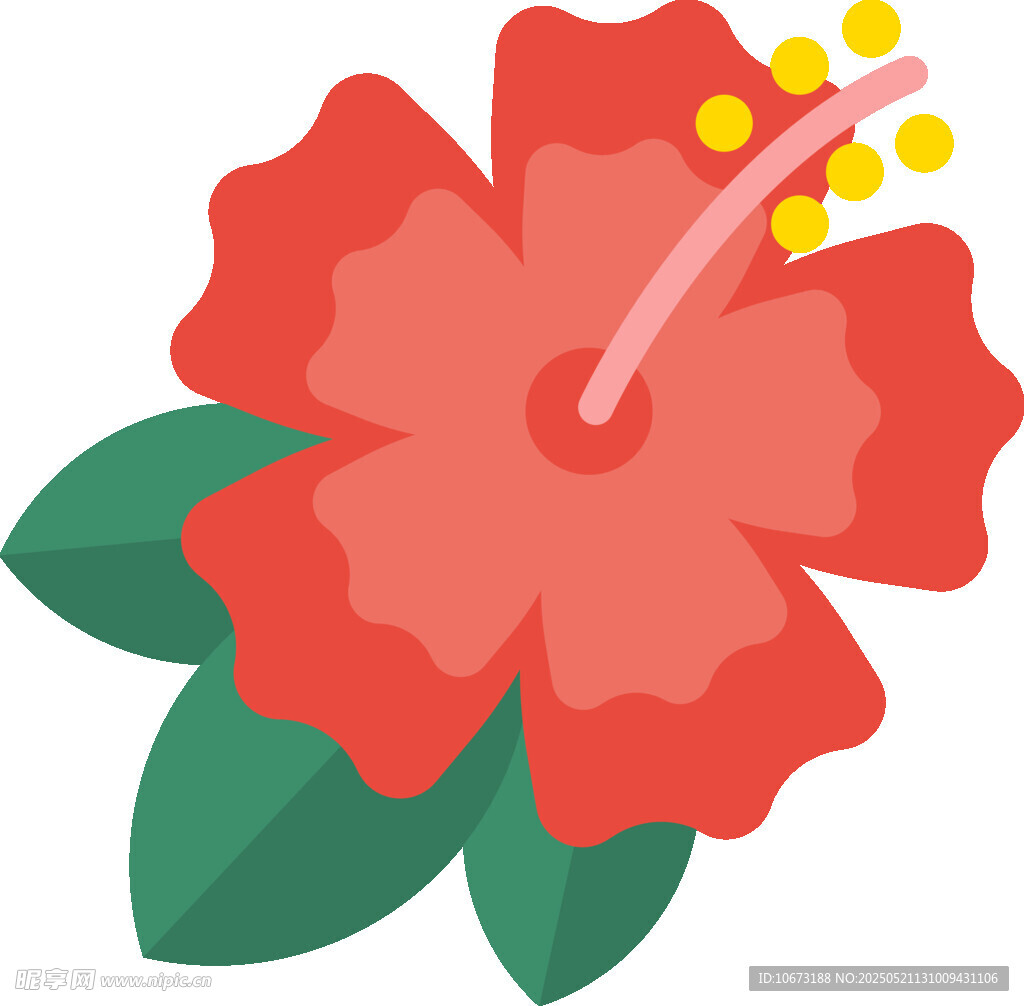 紅色扶桑花插畫