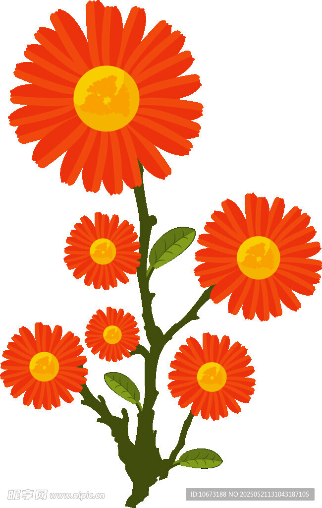 鮮艷橙色雛菊插畫