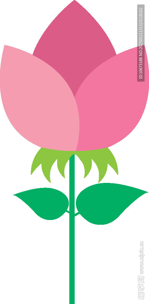 粉色花朵插畫