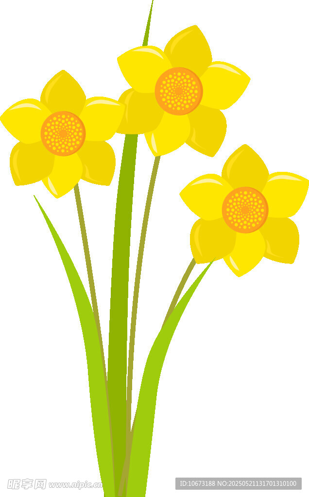 三朵黃色水仙花插畫(huà)