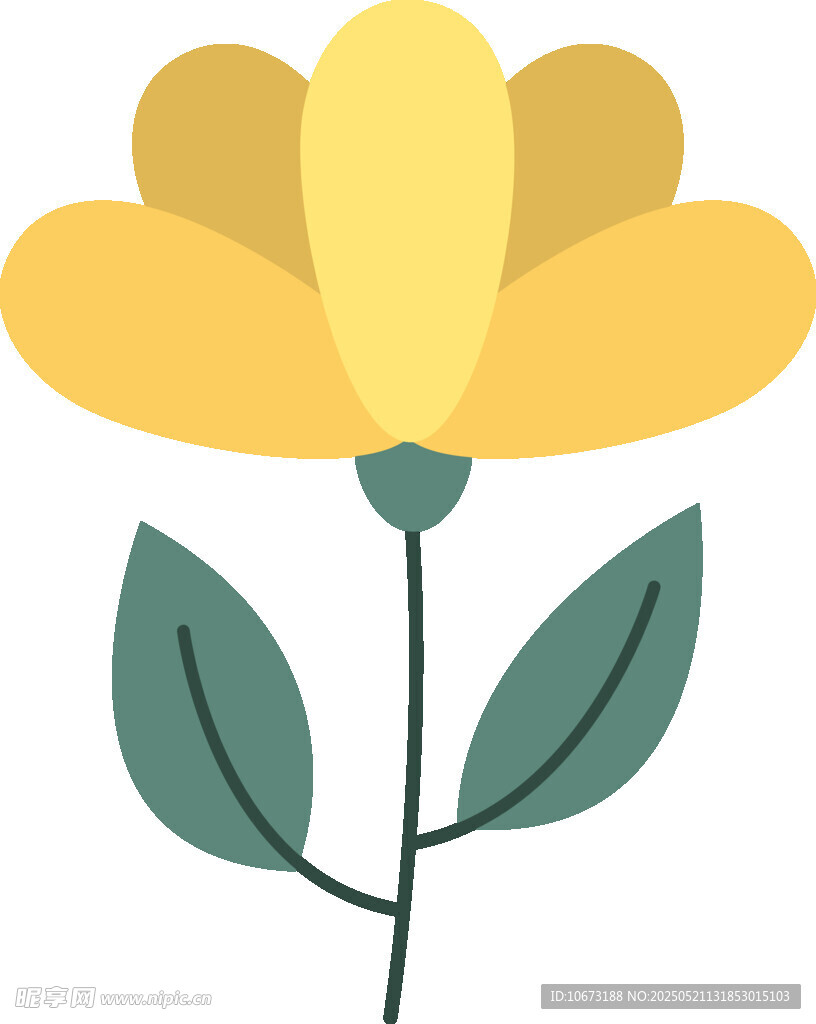 黃色花朵插畫