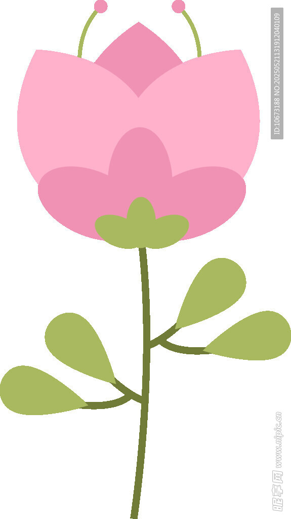 粉色花朵插畫