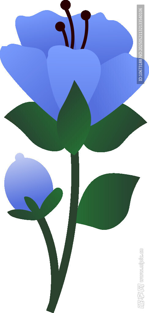 藍色花朵插畫