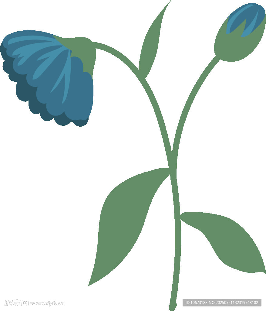 藍色花朵插畫
