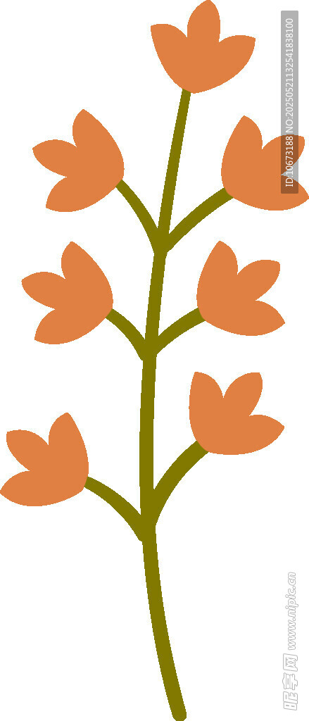 橙色花朵植物插畫