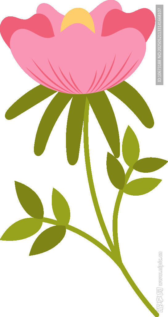 粉色花朵插畫