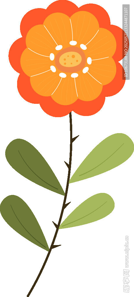橙色花朵插畫