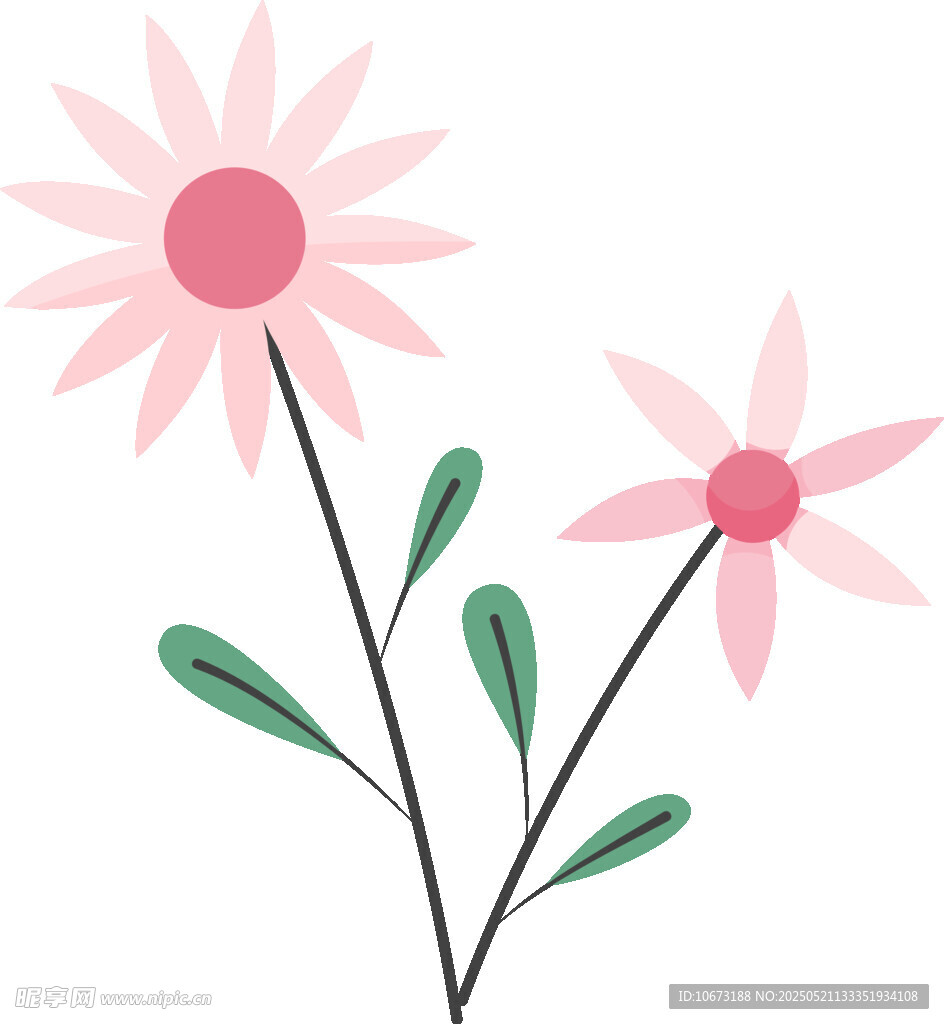 兩朵粉色小花插畫