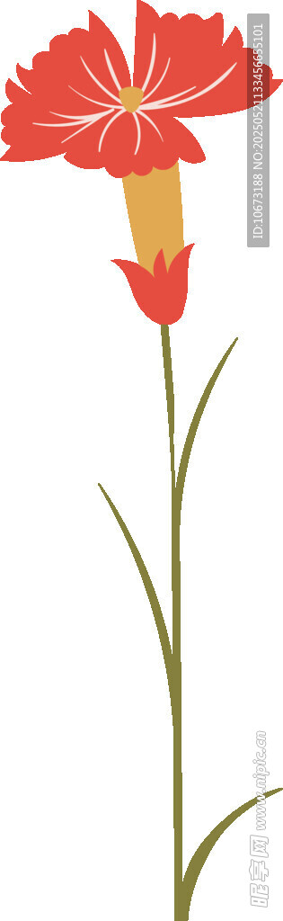 紅色康乃馨花卉插畫