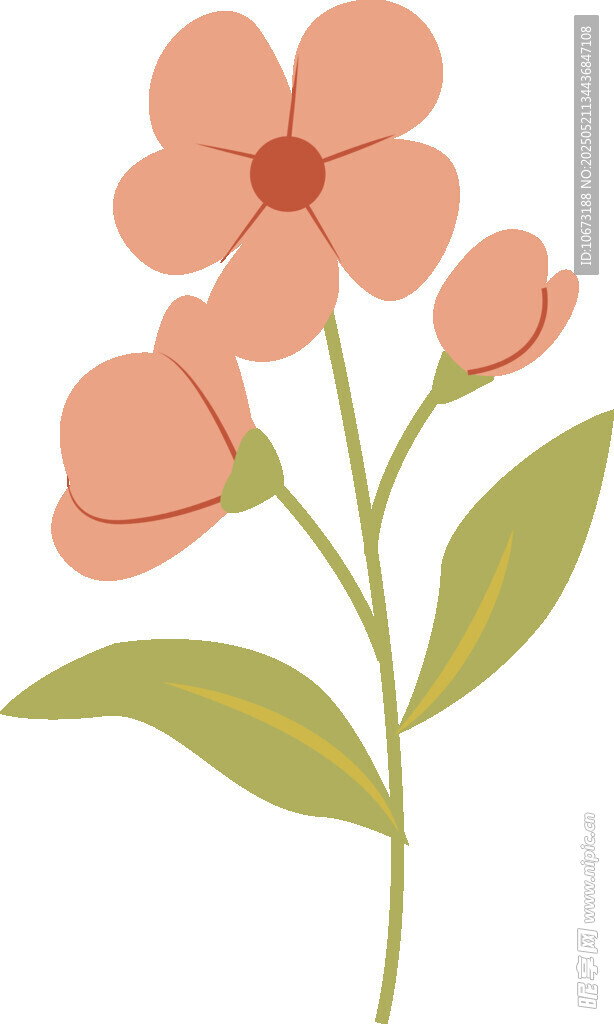 粉色花朵插畫