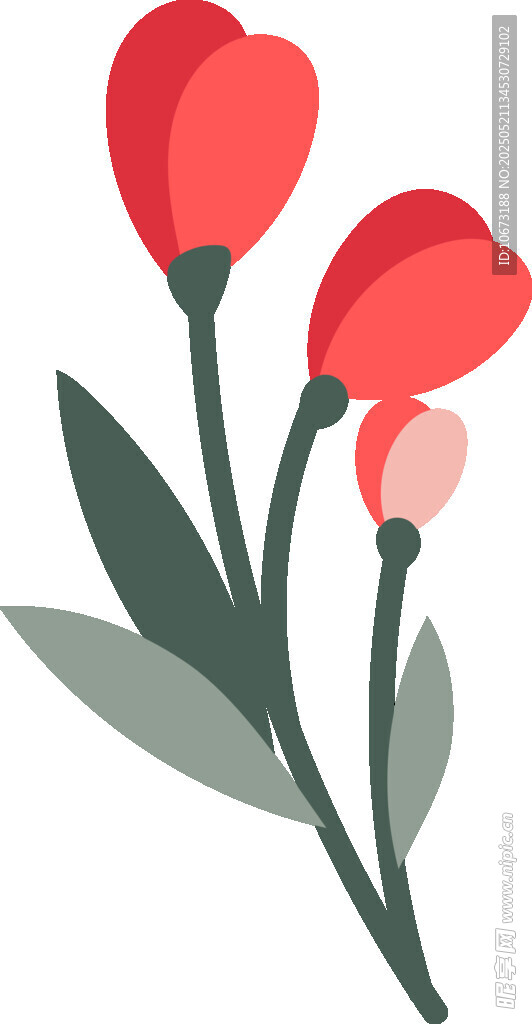 三朵紅色郁金香插畫
