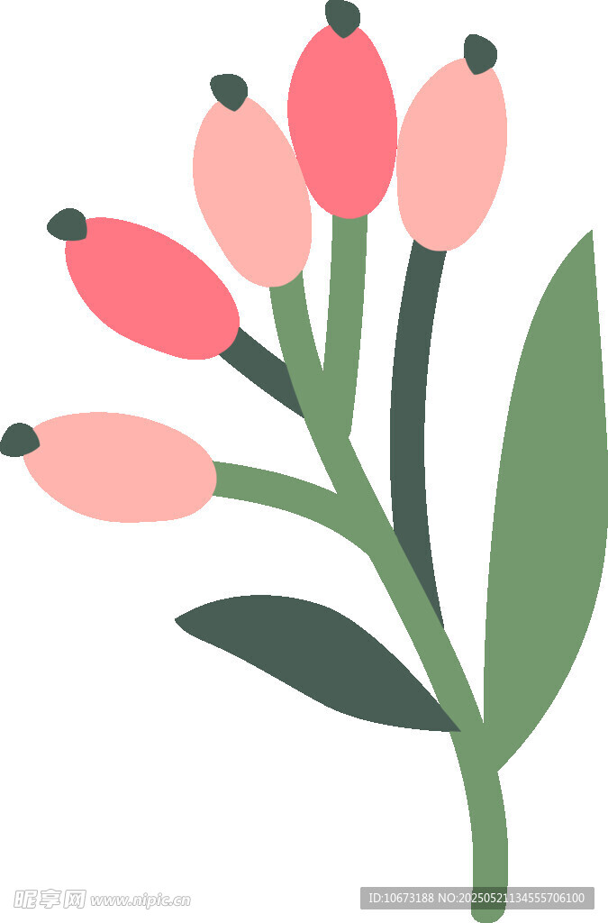 粉色漿果植物插畫